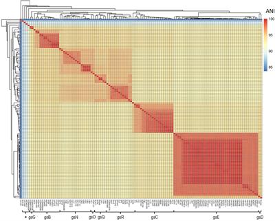 Genetic Variation in Host-Specific Competitiveness of the Symbiont Rhizobium leguminosarum Symbiovar viciae